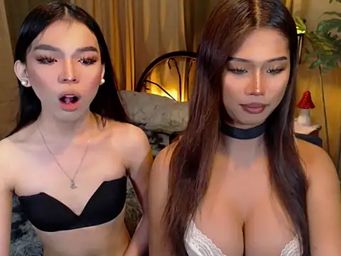 Snapshot of TWINKTRANSSHANEL chatting on October 9, 4:36 am TWINKTRANSSHANEL online show from October 9, 4:36 am