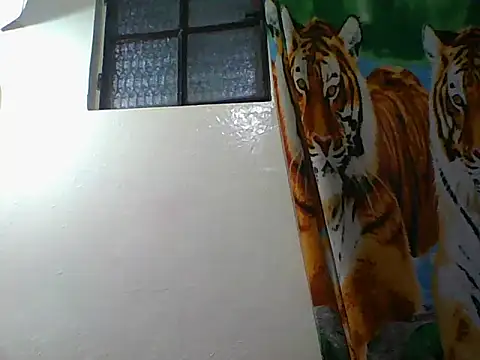tranycamii online show from June 2, 4:03 am