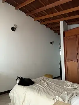 GabriSaenz online show from February 25, 1:59 pm