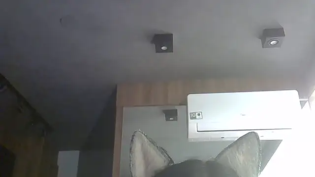 Skinny-Kitten online show from November 28, 1:29 am