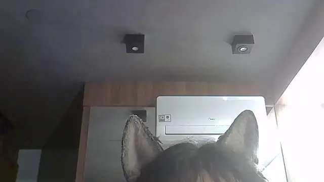 Skinny-Kitten online show from February 7, 3:34 am