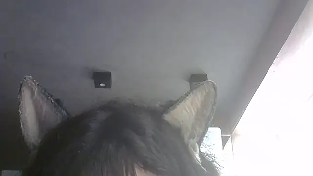 Skinny-Kitten online show from February 12, 5:02 am