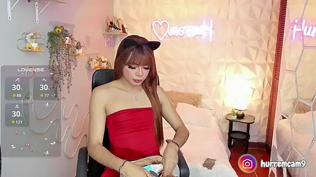 hurrencam online show from November 12, 1:10 pm